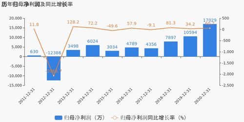 有研新材2020年度業績顯著提升，歸母凈利潤同比大漲60.74%，投資項目回報成未來焦點